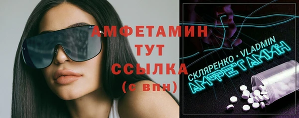 метадон Инта