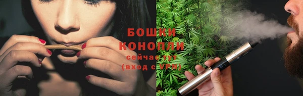 гашик Инсар