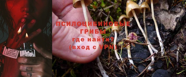 гашик Инсар
