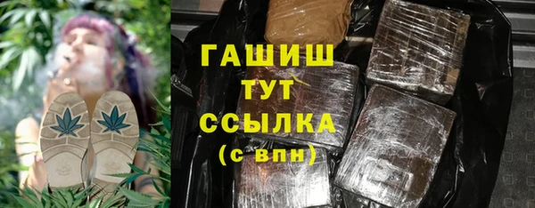 метадон Инта